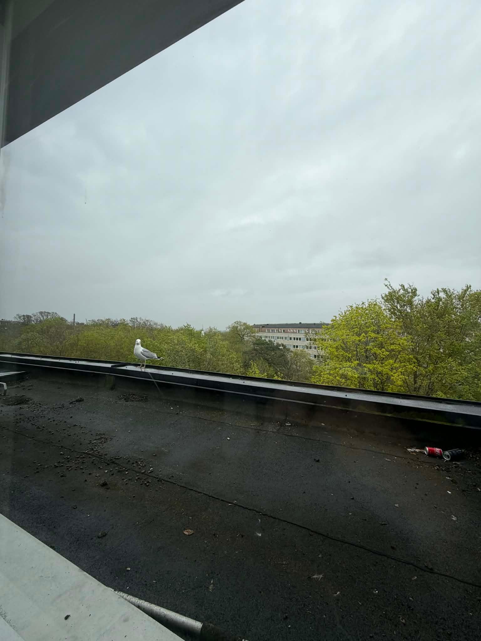 1-rumslägenhet i Karlskrona, Kungsmarksvägen - bild 1